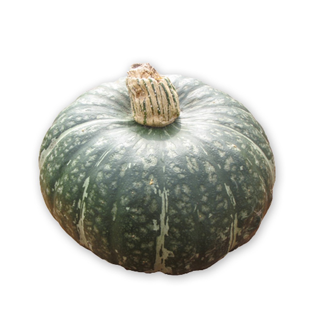 Sydgrönt odlar matpumpor